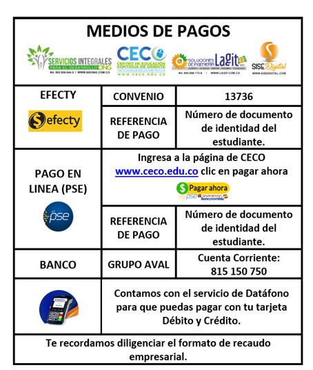 medios de pago autorizados grupo aval, av villas, baloto o efecty